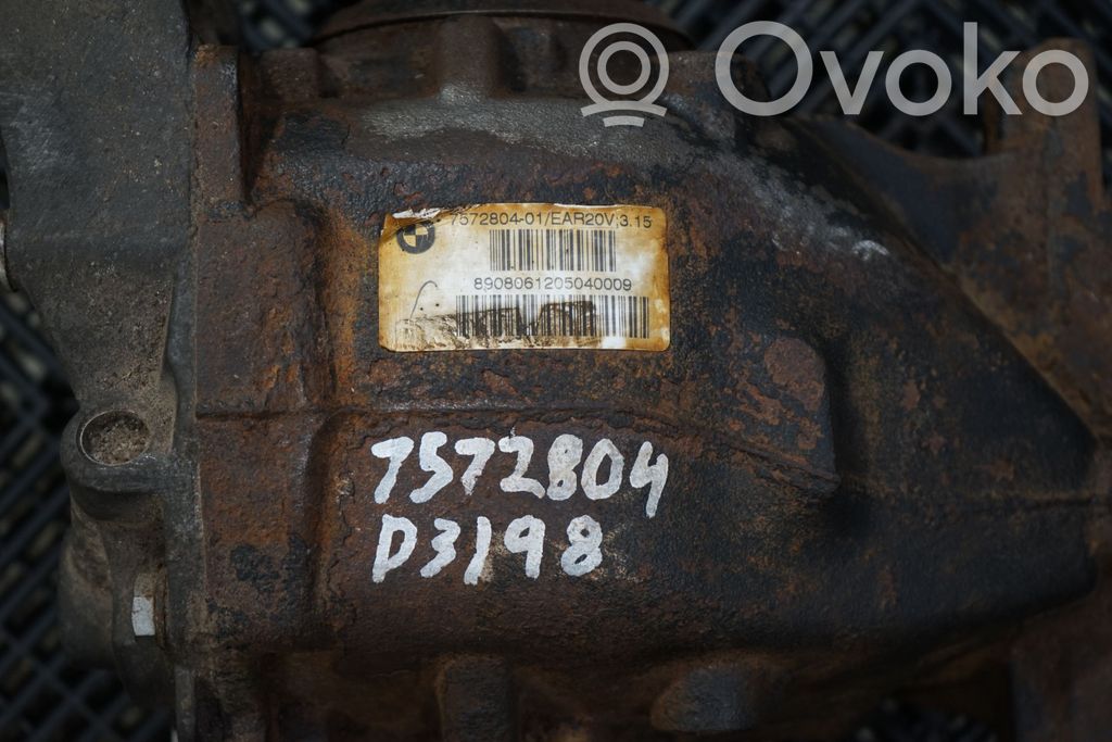 Rear differential (5)