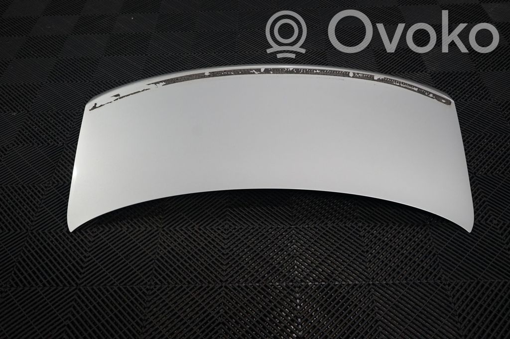 Tailgate/trunk/boot lid (3)