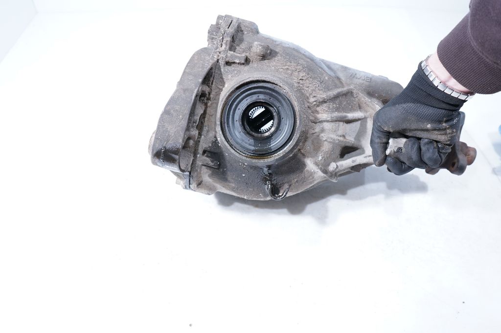 Rear differential (6)