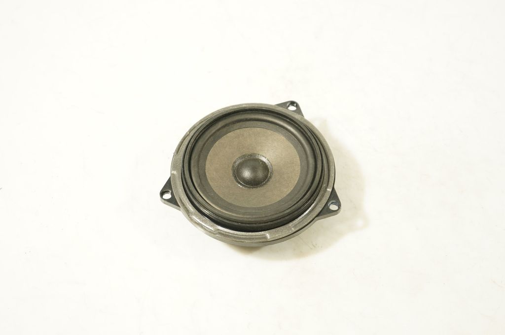 Front door speaker (2)