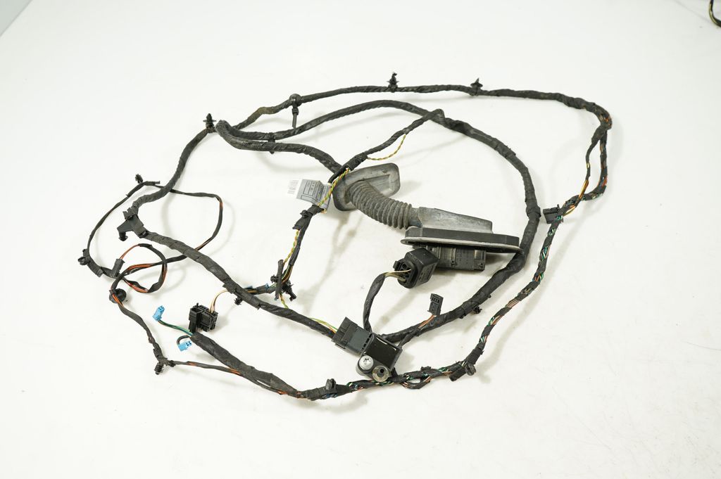 Front door wiring loom