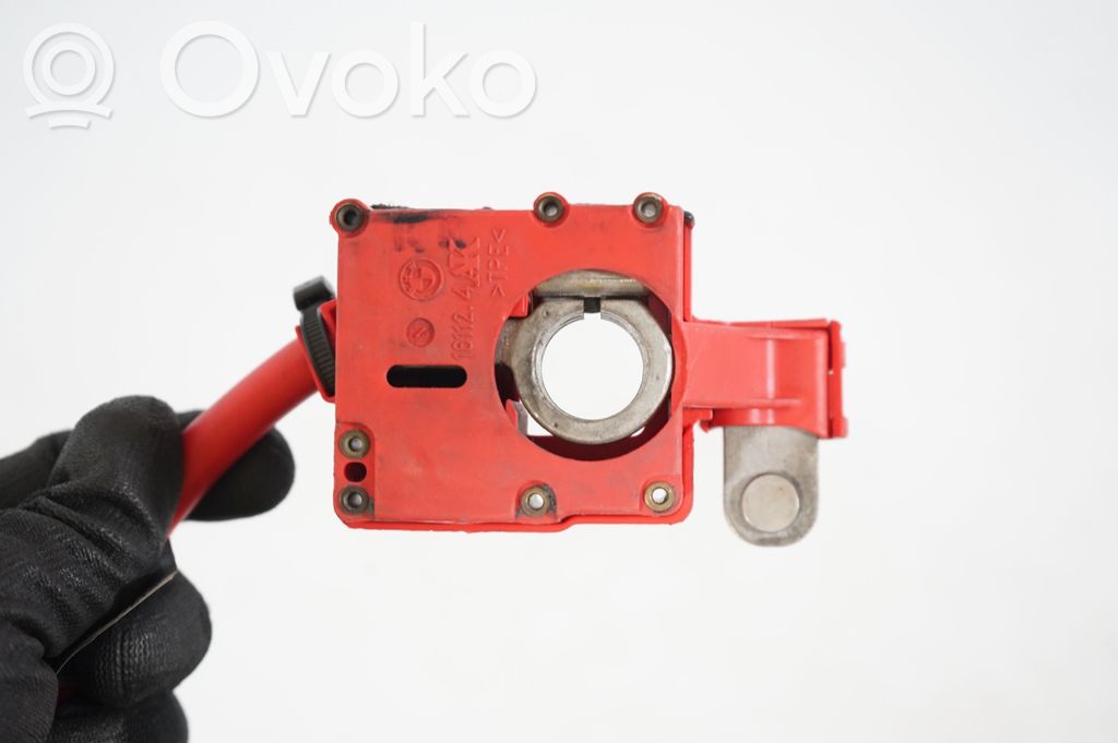 Positive cable (battery) (10)