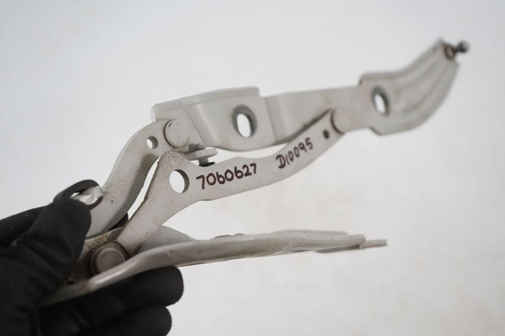 Tailgate/trunk/boot hinge (8)