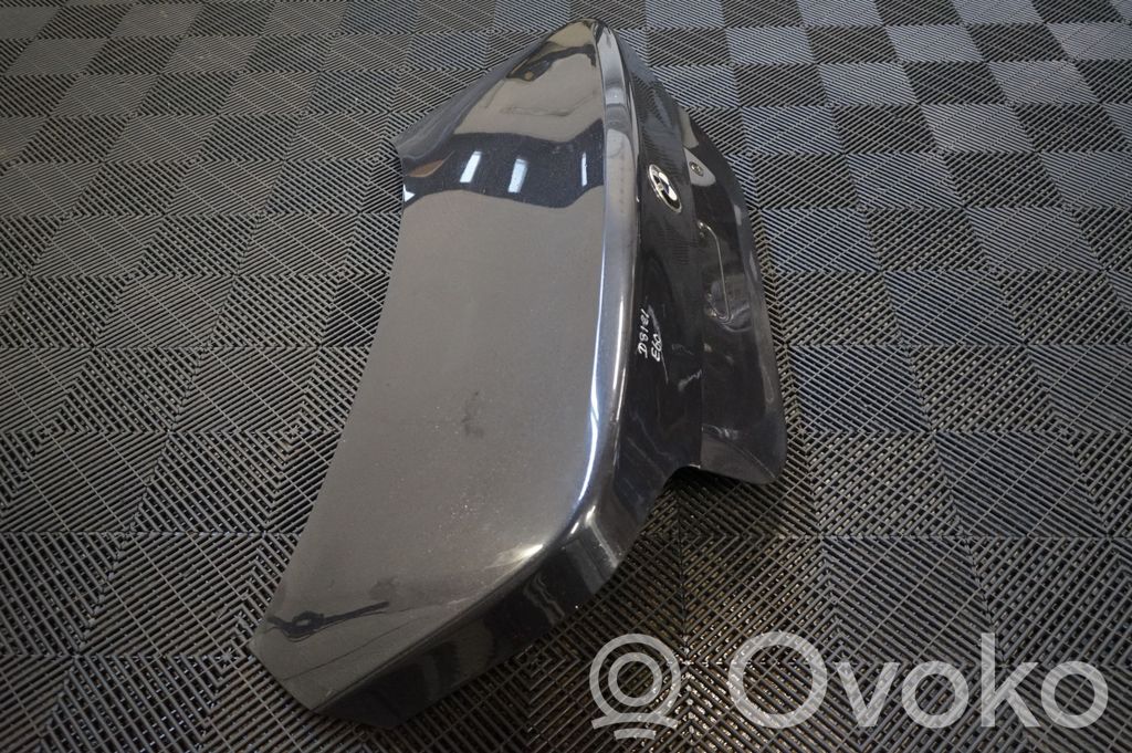 Tailgate/trunk/boot lid (4)