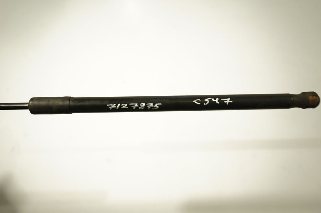 Tailgate/trunk strut/damper (8)
