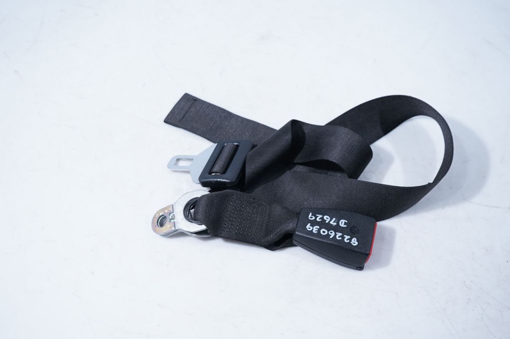 Rear seatbelt buckle (3)