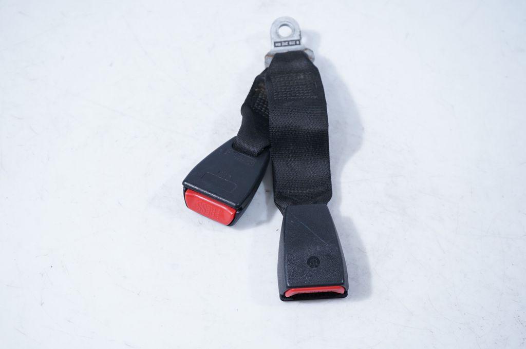 Rear seatbelt buckle (4)