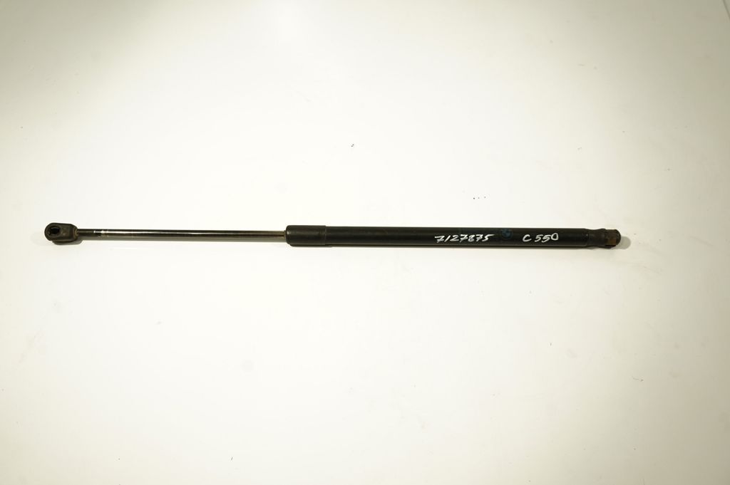 Tailgate/trunk strut/damper (5)