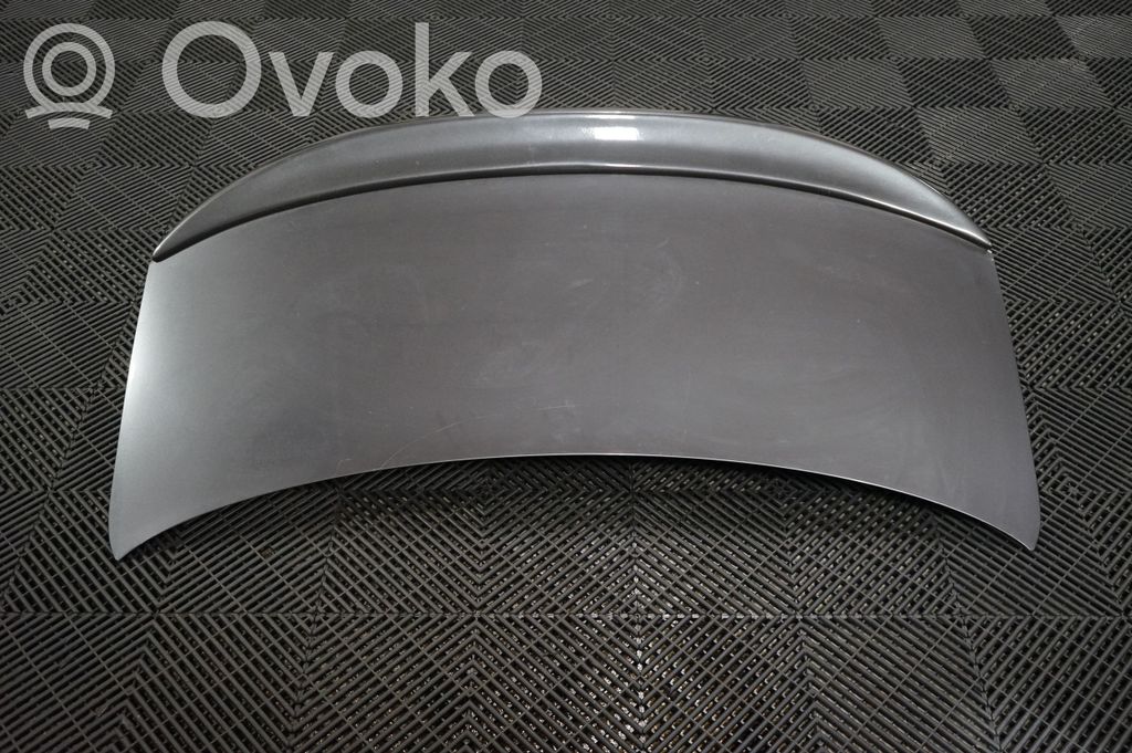 Tailgate/trunk/boot lid (3)