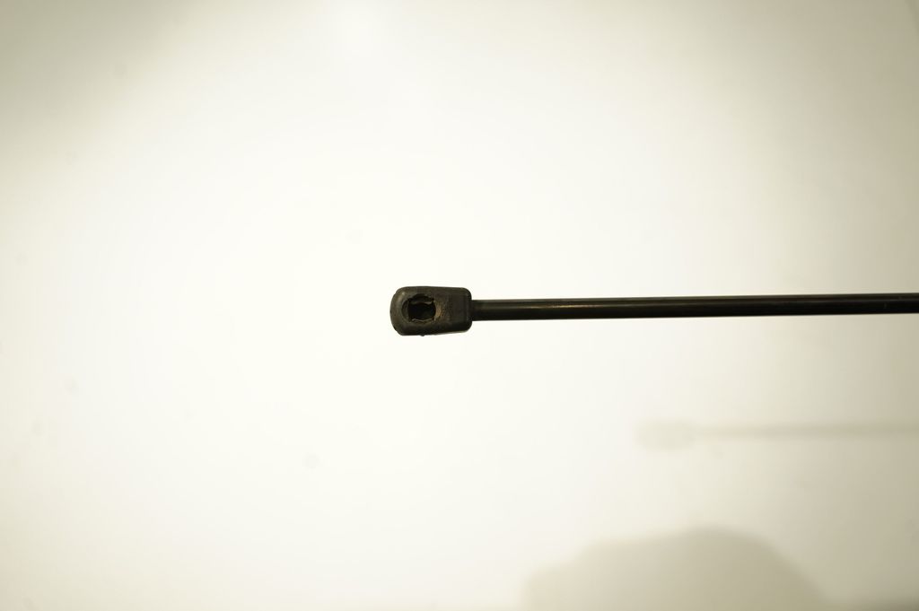 Tailgate/trunk strut/damper (6)