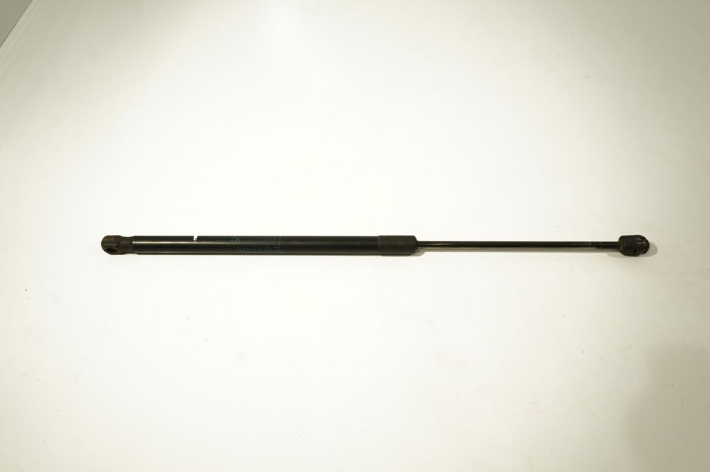 Tailgate/trunk strut/damper (3)