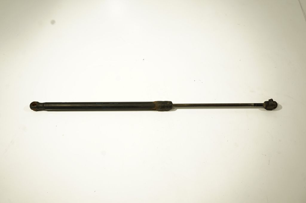 Tailgate/trunk strut/damper (3)