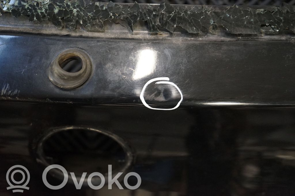 Tailgate/trunk/boot lid (6)