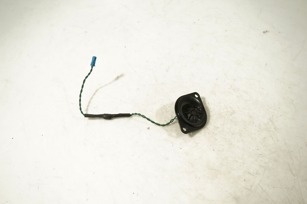 Front door speaker (4)