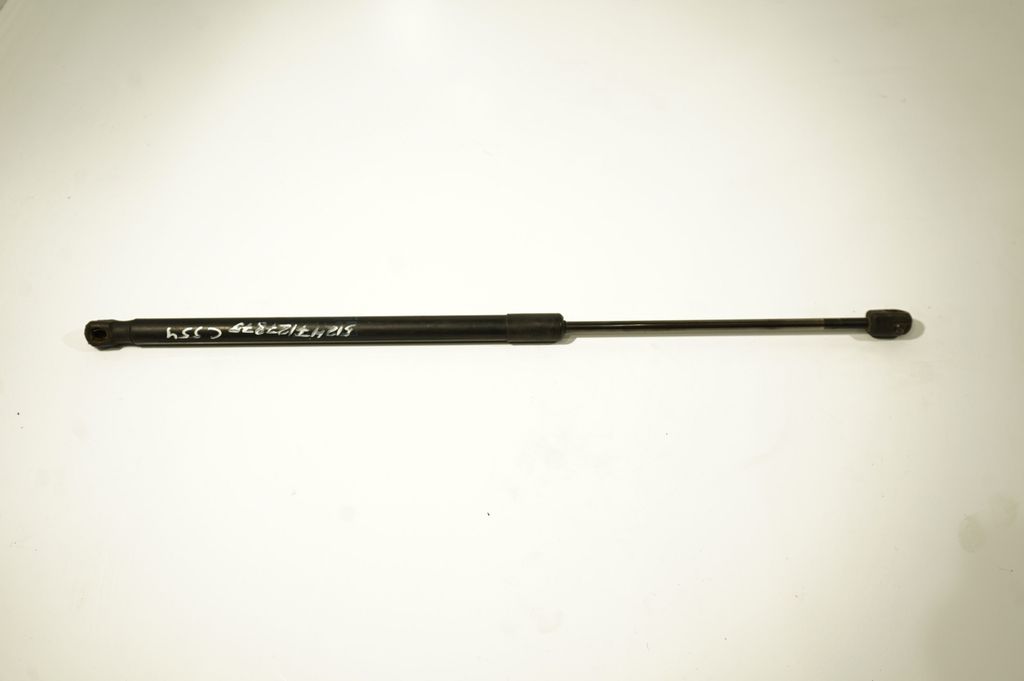 Tailgate/trunk strut/damper (3)