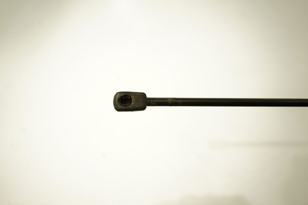 Tailgate/trunk strut/damper (6)