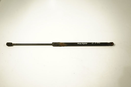 Tailgate/trunk strut/damper