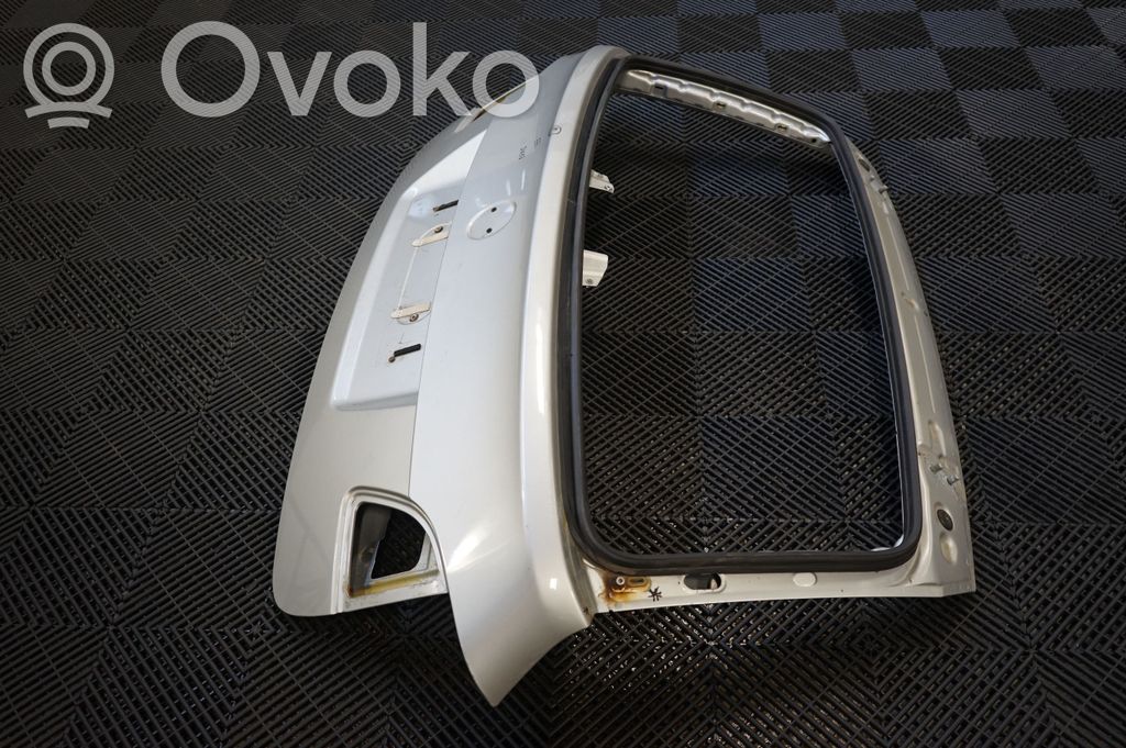 Tailgate/trunk/boot lid (2)