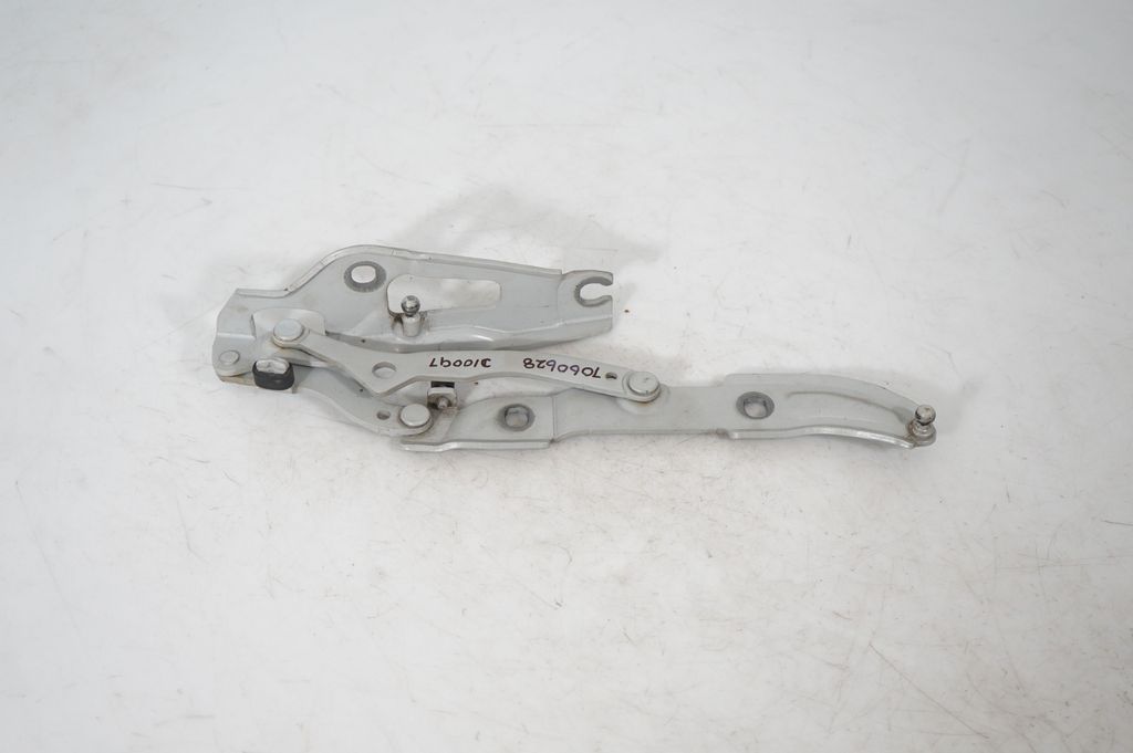 Tailgate/trunk/boot hinge (3)