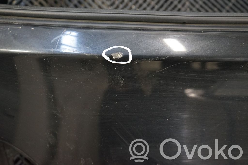 Tailgate/trunk/boot lid (10)