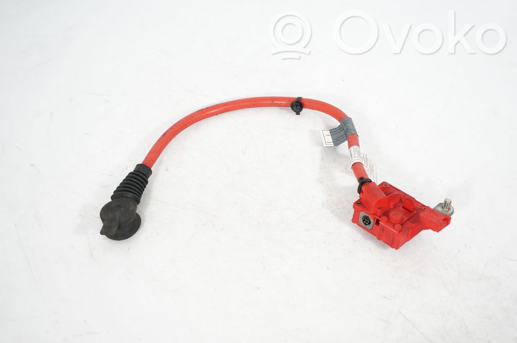 Positive cable (battery) (2)