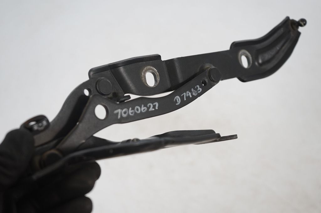 Tailgate/trunk/boot hinge (7)