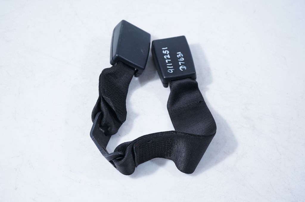 Rear seatbelt buckle (2)