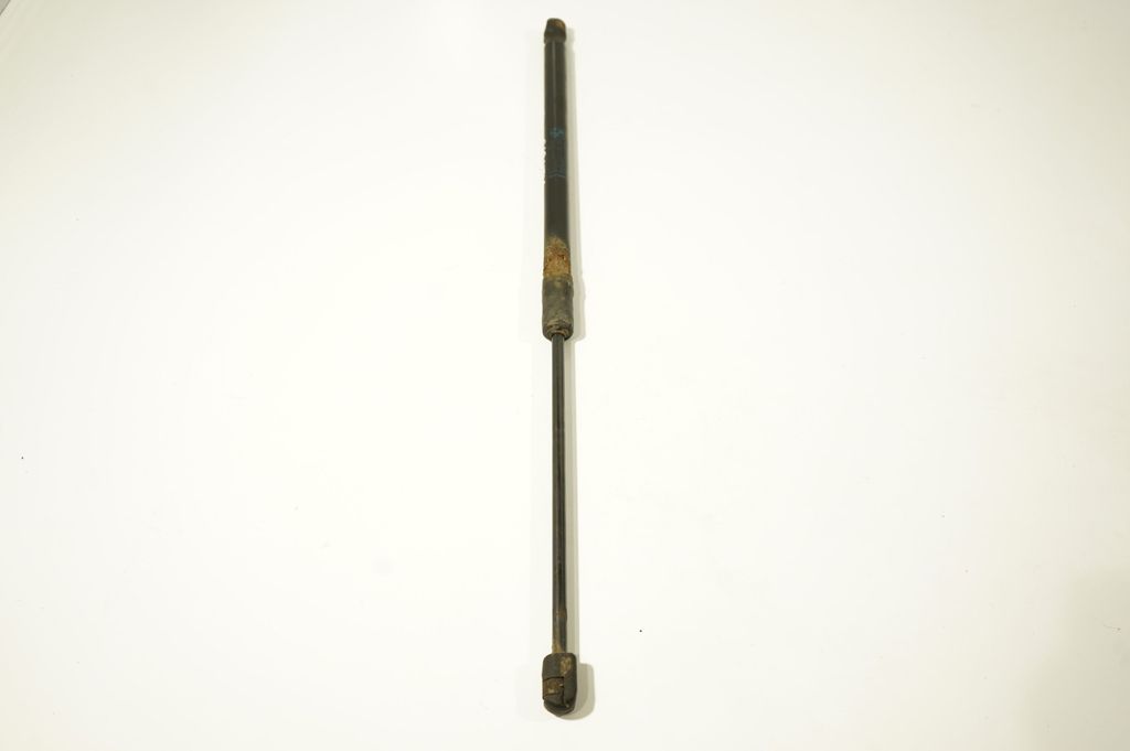 Tailgate/trunk strut/damper (4)
