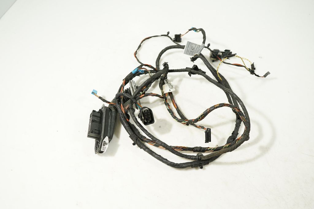 Front door wiring loom (2)