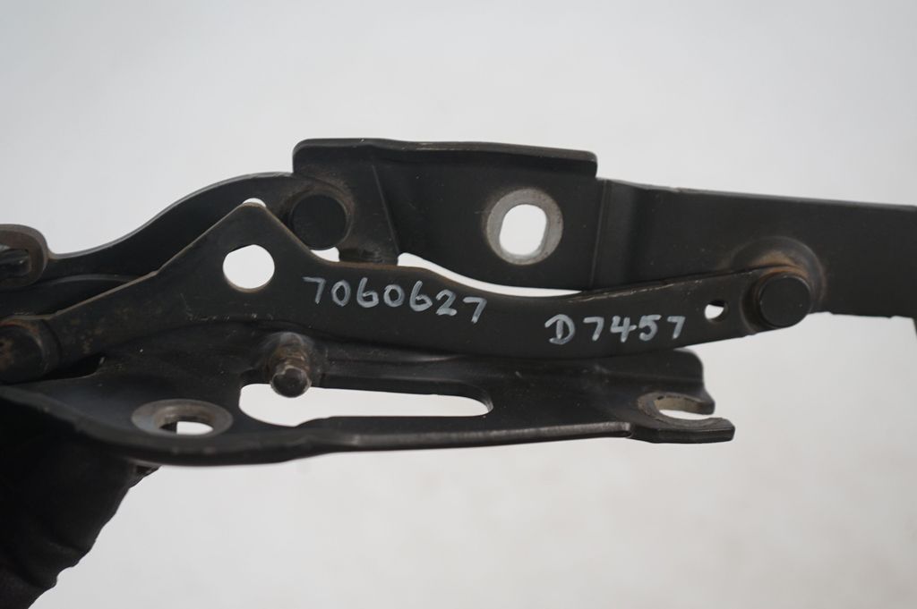 Tailgate/trunk/boot hinge (8)