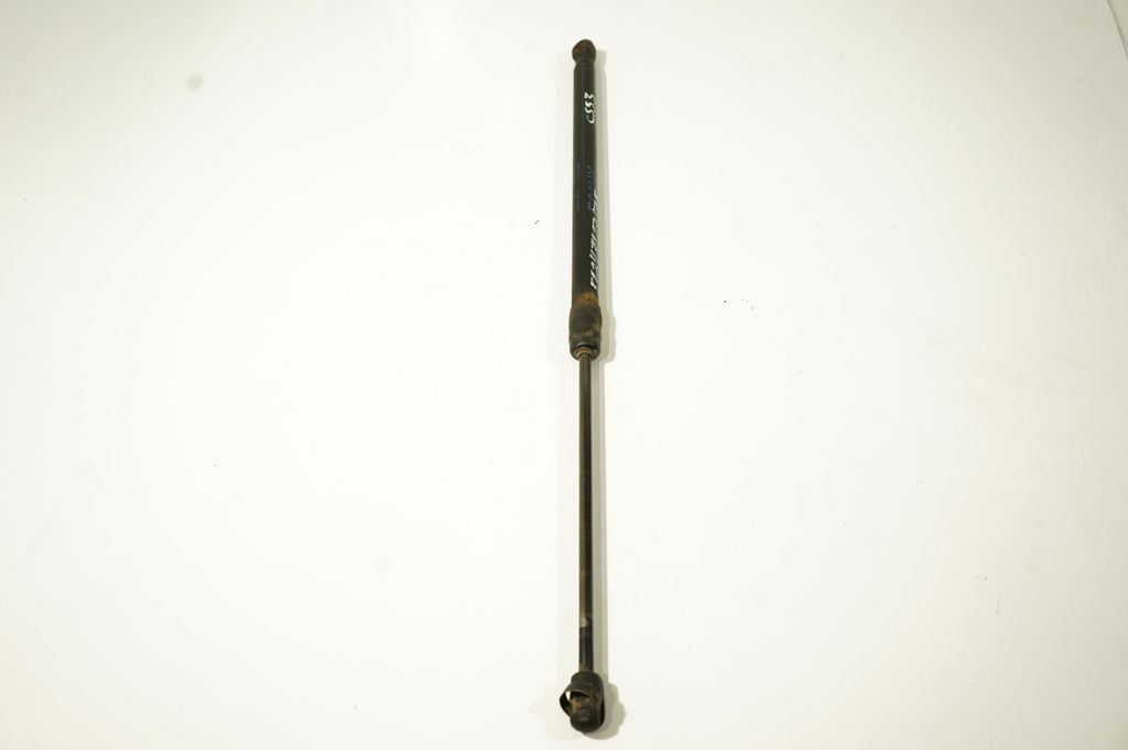 Tailgate/trunk strut/damper (4)