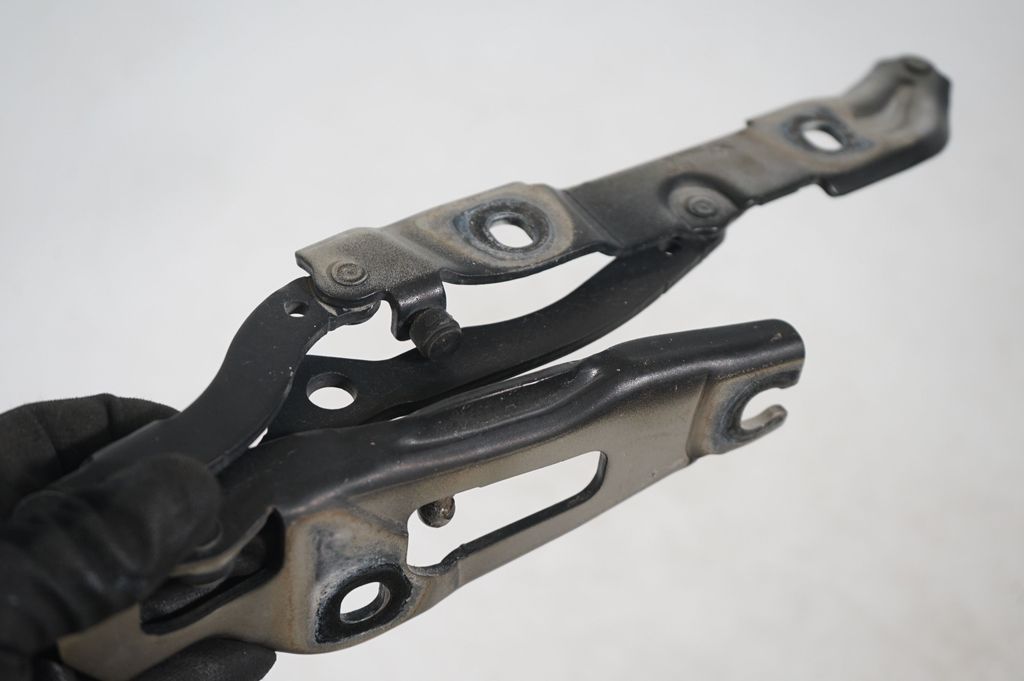 Tailgate/trunk/boot hinge (7)