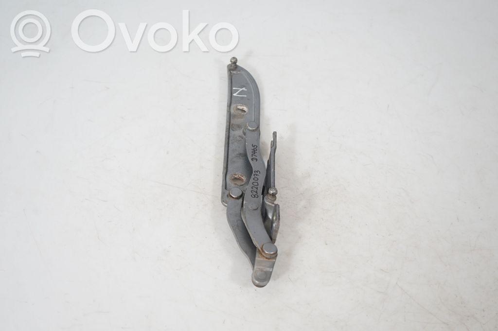 Tailgate/trunk/boot hinge (4)