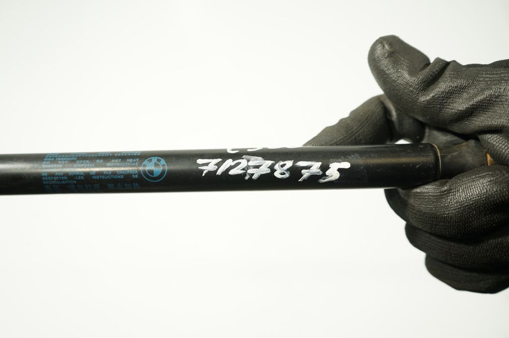 Tailgate/trunk strut/damper (9)