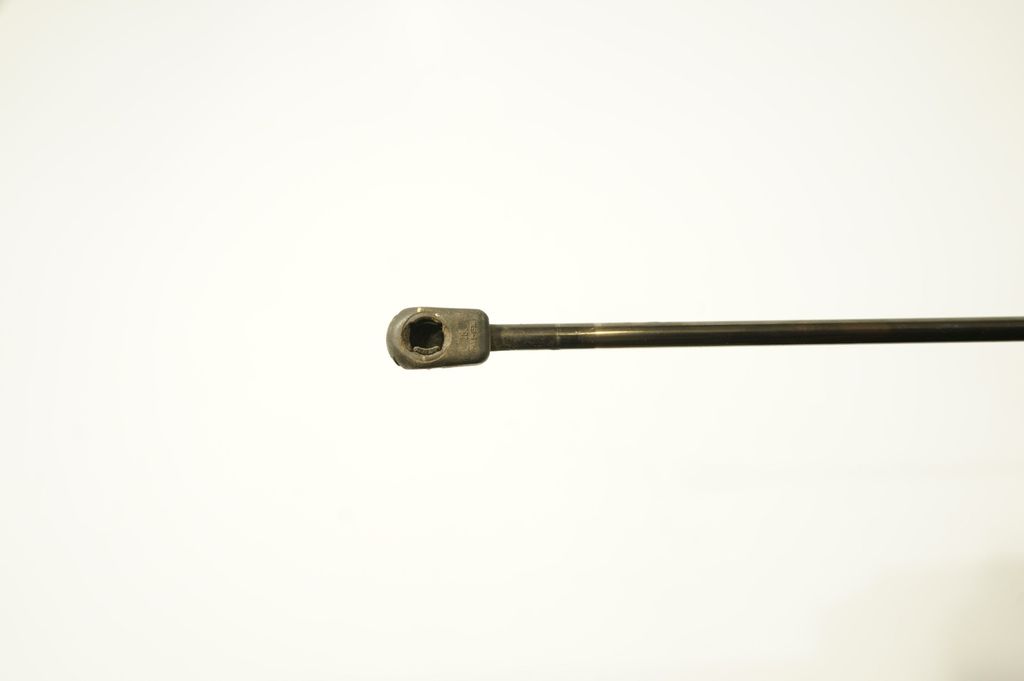 Tailgate/trunk strut/damper (6)