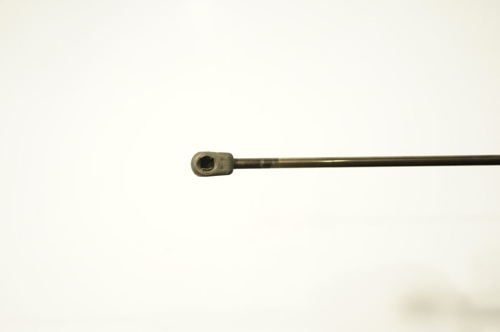 Tailgate/trunk strut/damper (6)