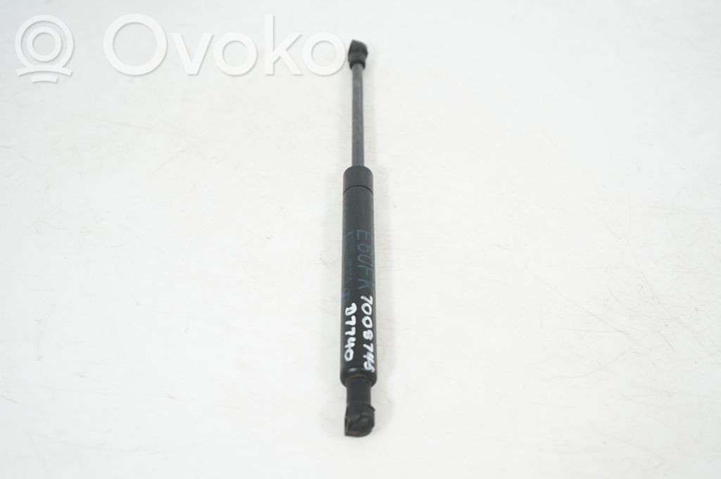 Front bonnet/hood damper/strut (2)