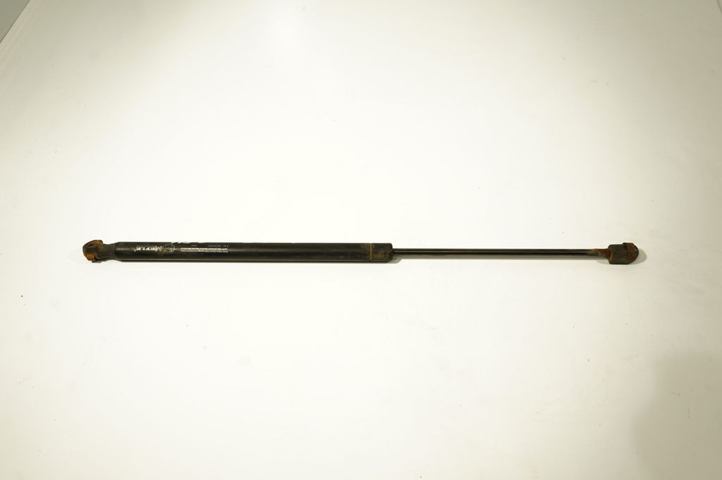 Tailgate/trunk strut/damper (3)
