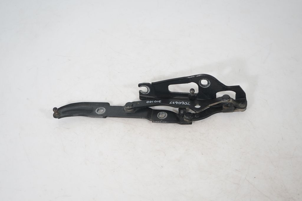 Tailgate/trunk/boot hinge (3)
