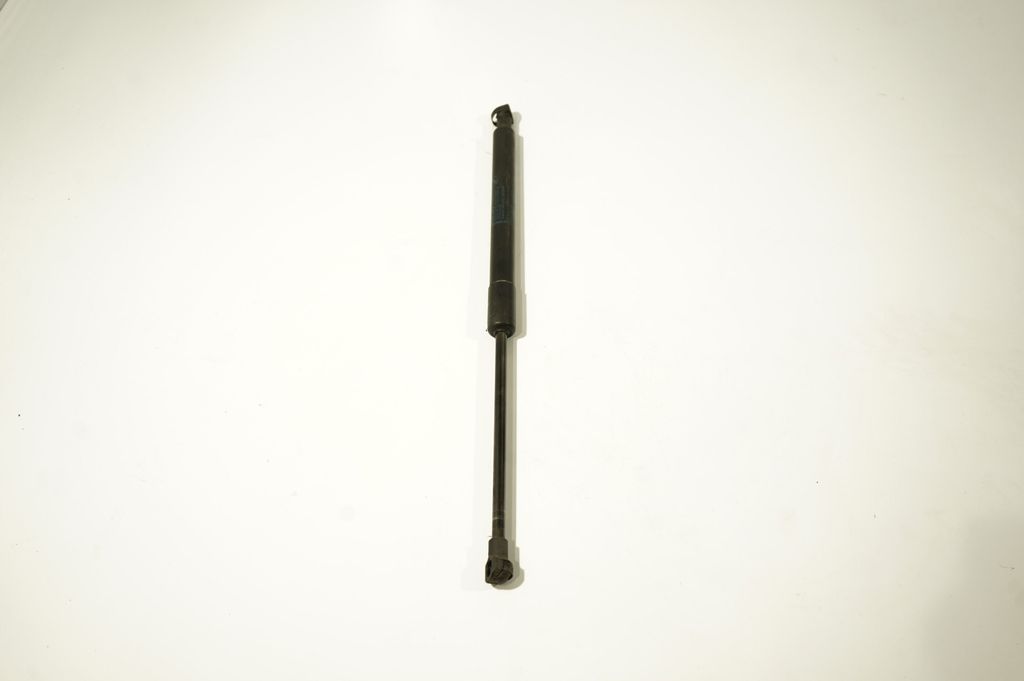 Front bonnet/hood damper/strut (4)