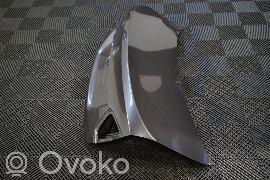 Tailgate/trunk/boot lid (2)