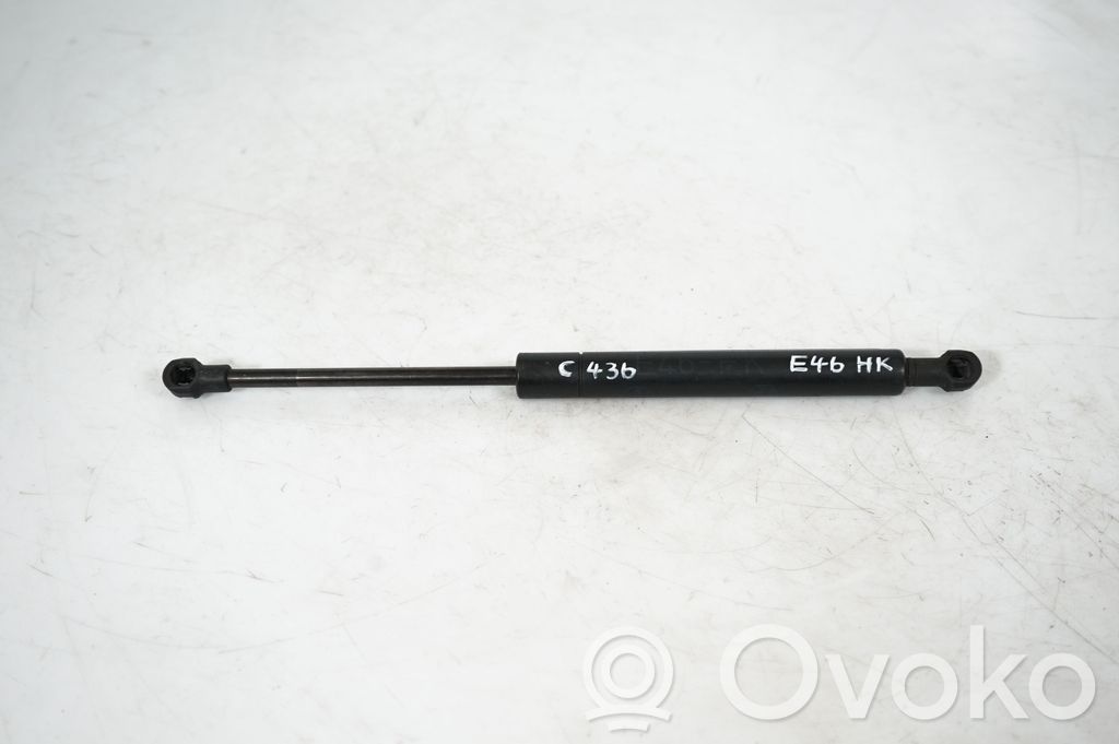 Front bonnet/hood damper/strut (6)