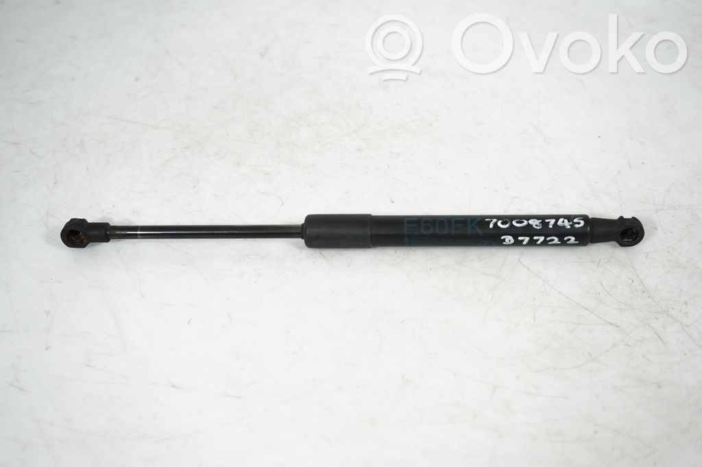 Front bonnet/hood damper/strut