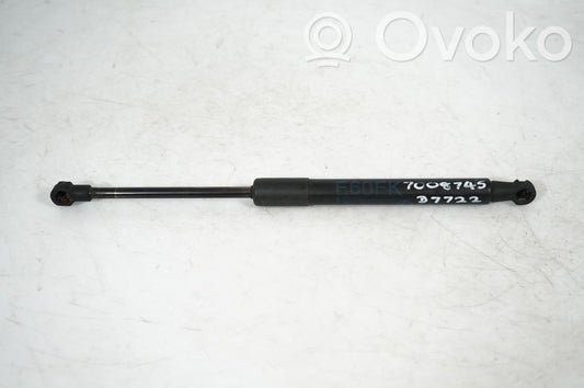 Front bonnet/hood damper/strut