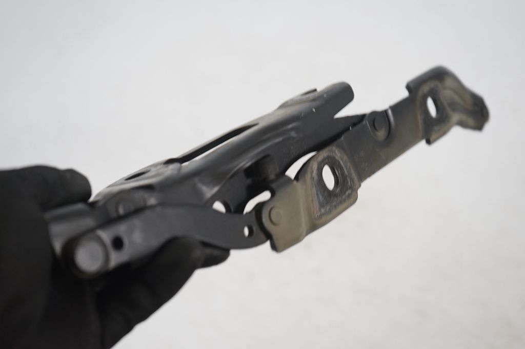 Tailgate/trunk/boot hinge (7)