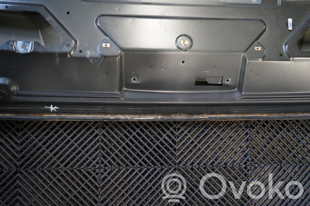 Tailgate/trunk/boot lid (6)