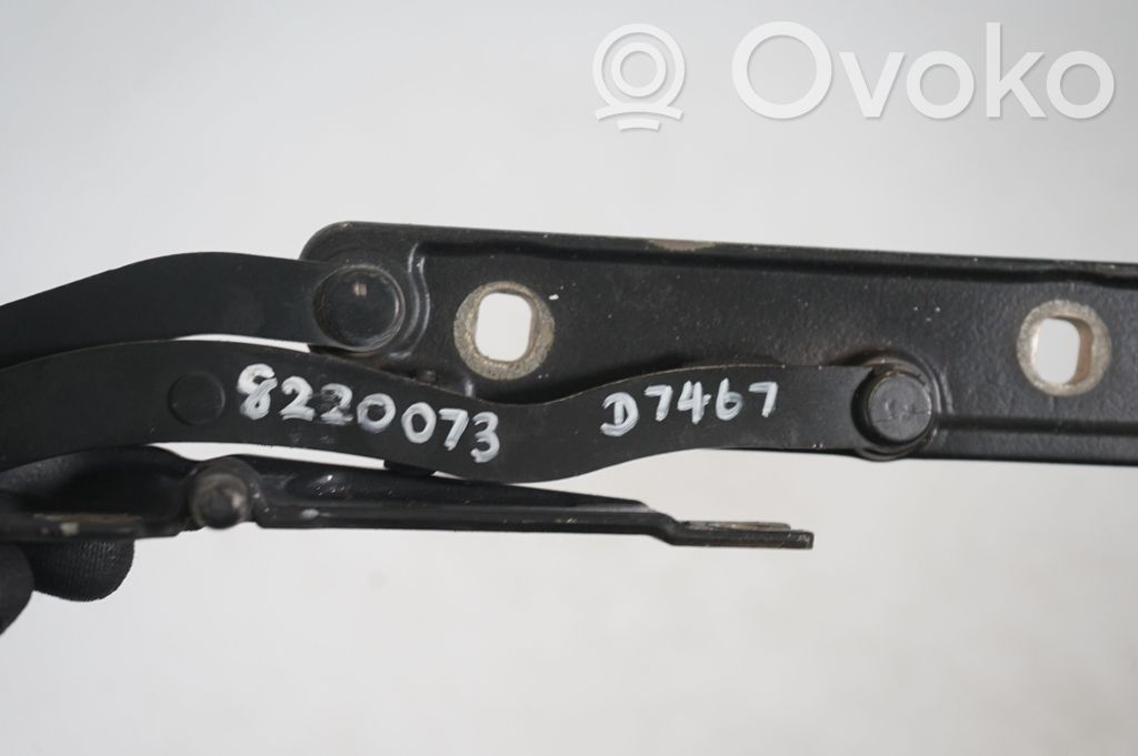 Tailgate/trunk/boot hinge (8)