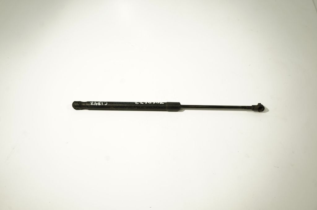 Tailgate/trunk strut/damper (2)