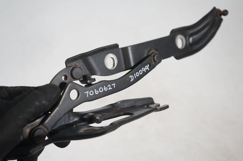 Tailgate/trunk/boot hinge (6)