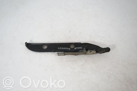 Tailgate/trunk/boot hinge